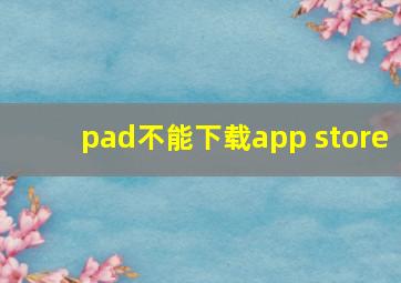 pad不能下载app store